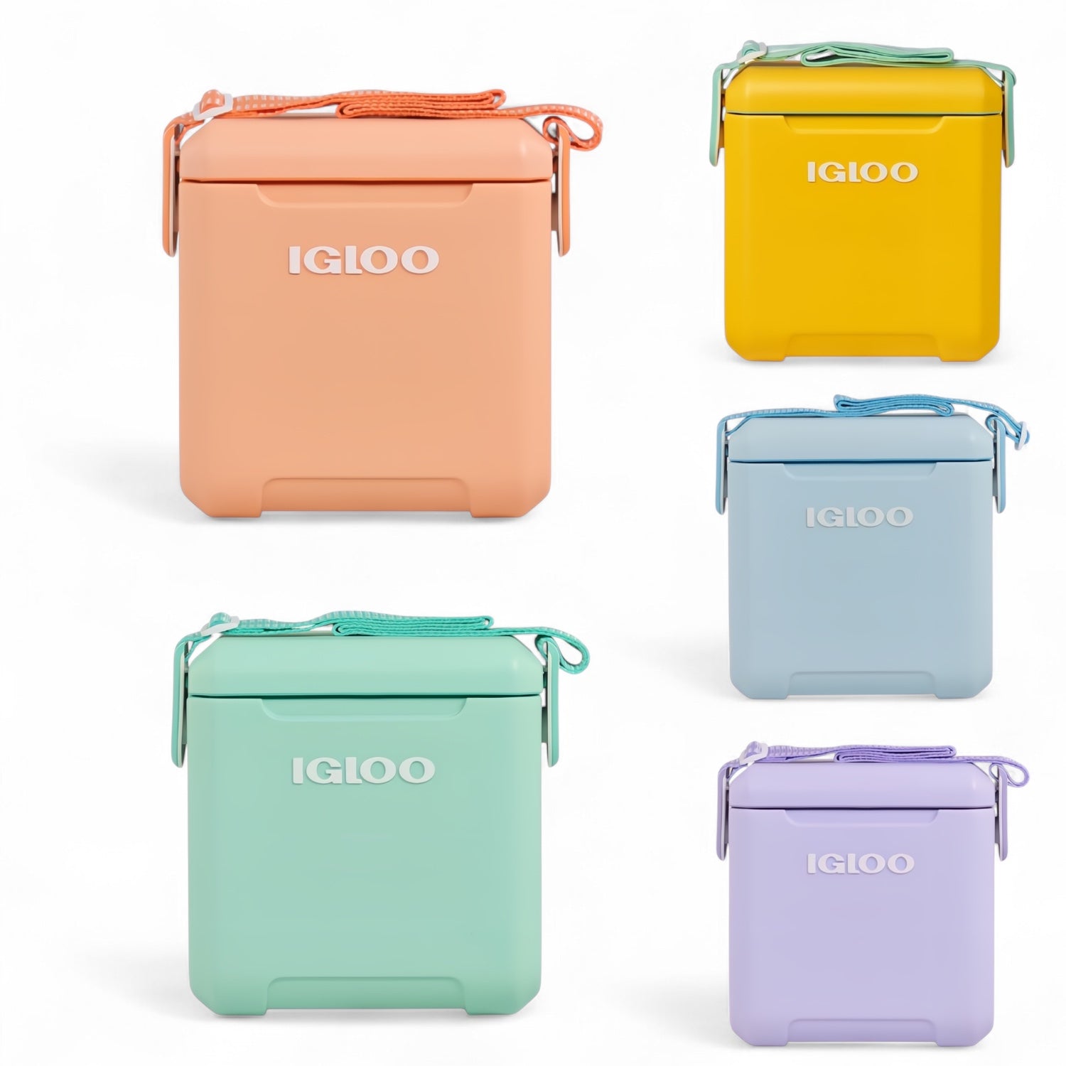 Igloo koelbox Tag Along Too 10L – trendy compacte hardcase cooler in vrolijke kleuren