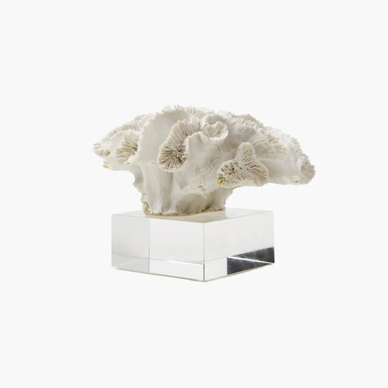 Decoratie & kunst