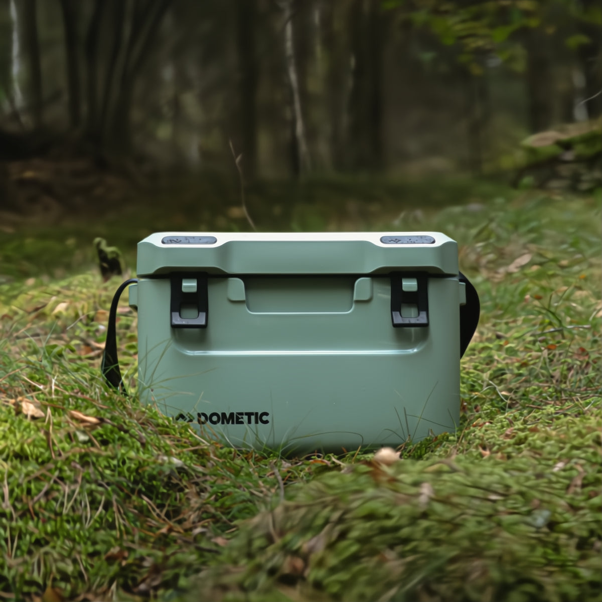 Dometic CI 15 koelbox 15L – passief, voor boot & outdoor, detail in Moss kleur in het gras