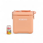 Igloo tag along too Apricot from the front with a can