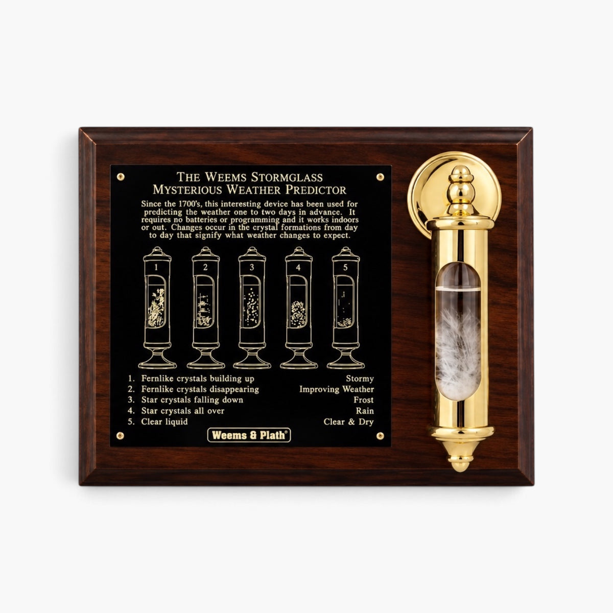 Weems_Plath_Brass_Stormglass_Plaque_Set_Item___200SET