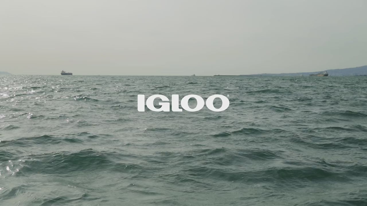 studio maritime igloo introduction video
