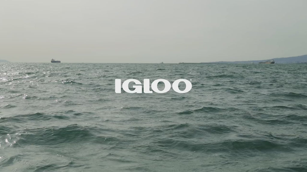 studio maritime igloo introduction video